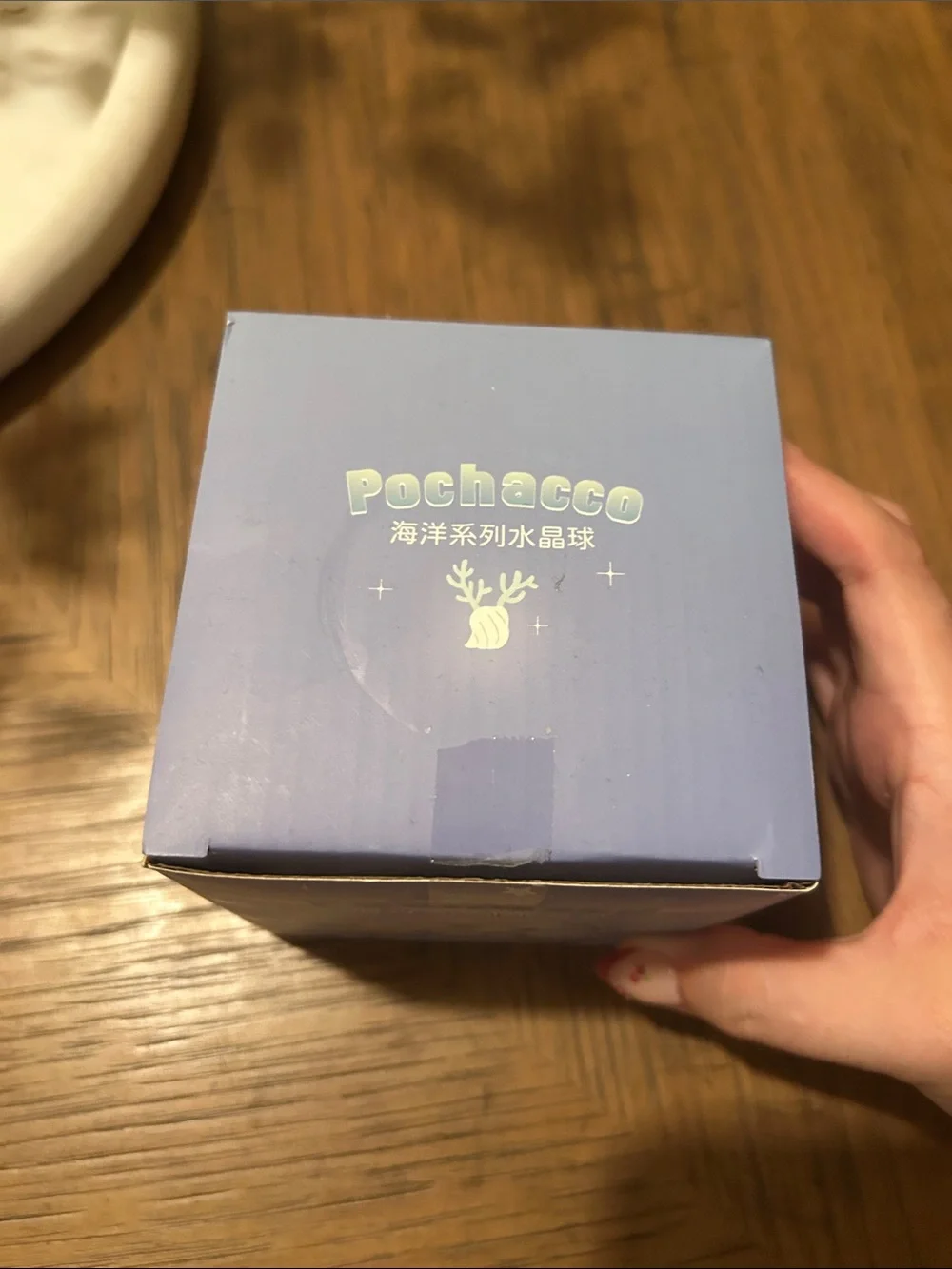 Sanrio Character Ocean Series Crystal Ball Pochacco Sea Snow Globe